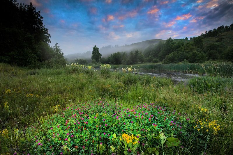 Башкирское полнотравиеphoto preview