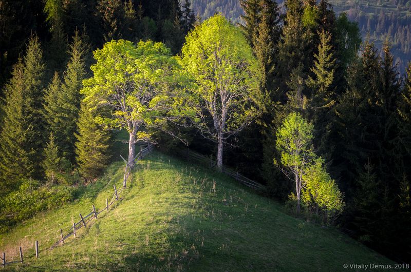 Три сестры. Карпаты.photo preview