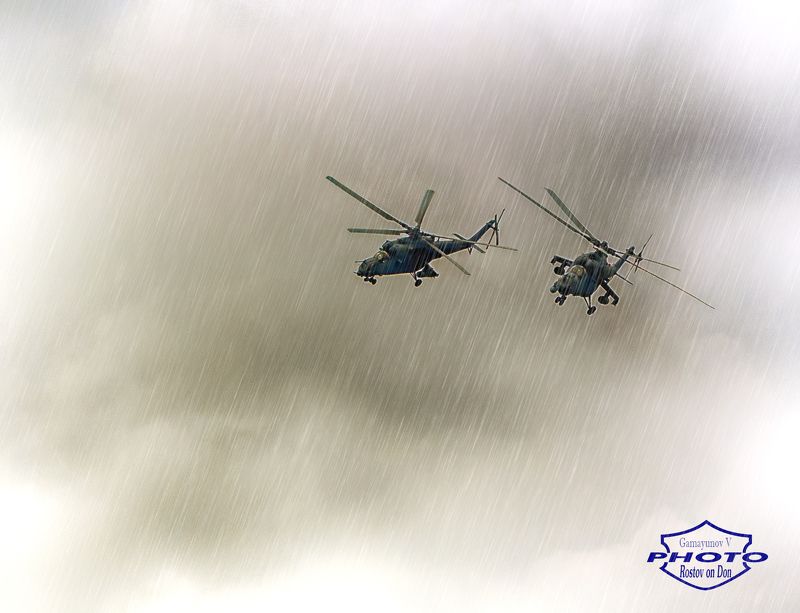 всепогодныеphoto preview