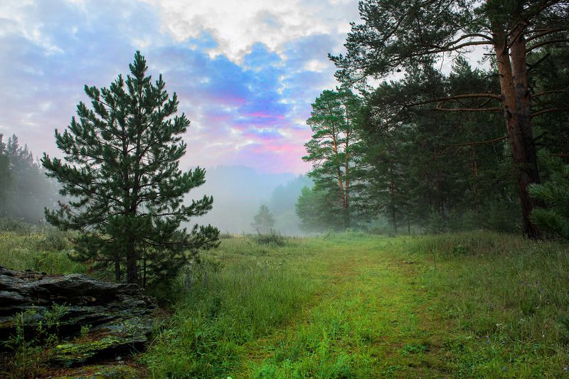 утроphoto preview