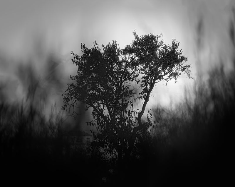 чб Силуэтphoto preview