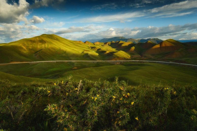 киргизия, кыргызстан, средняя азия, горы, каньон, скалы, пейзаж, лето, ущелье, дорога, утро, серпантин, перевал Дорогами Киргизииphoto preview