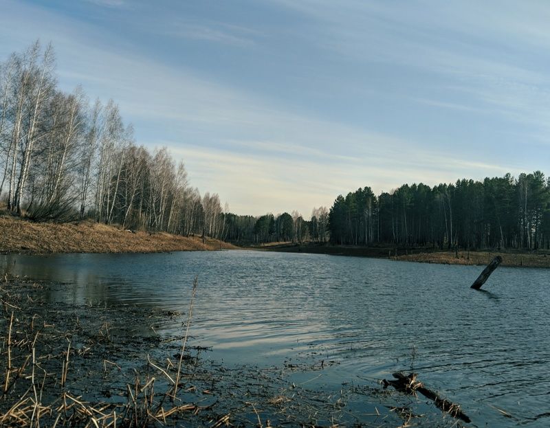 пейзаж, телефон Мобильная солянкаphoto preview