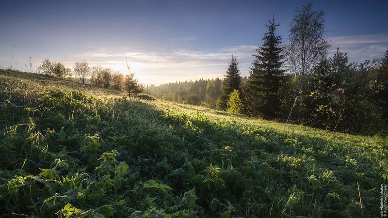 утро, рассвет, иней, поле, холм, солнце, сибирь, пермский край Утренний иней фото превью