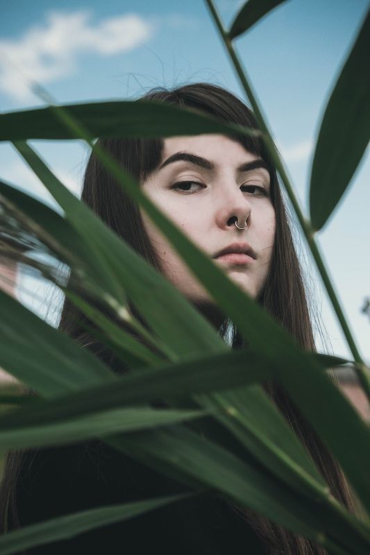 Шелест ветраphoto preview