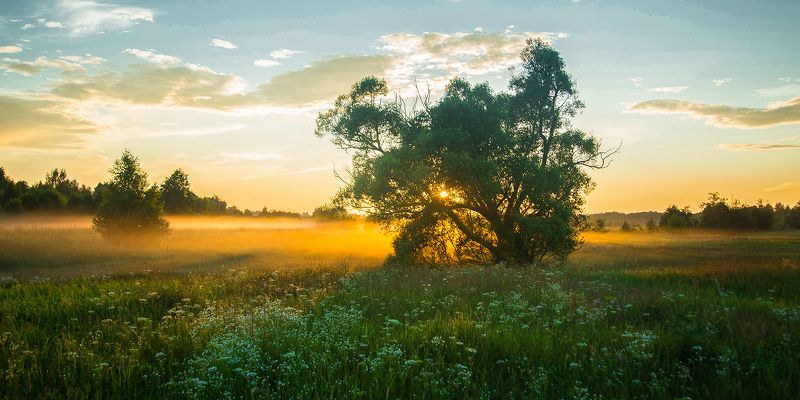 Одинокий в поле...photo preview