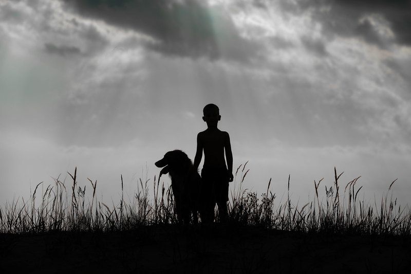 мальчик, собака, закат, силуэты Друганыphoto preview