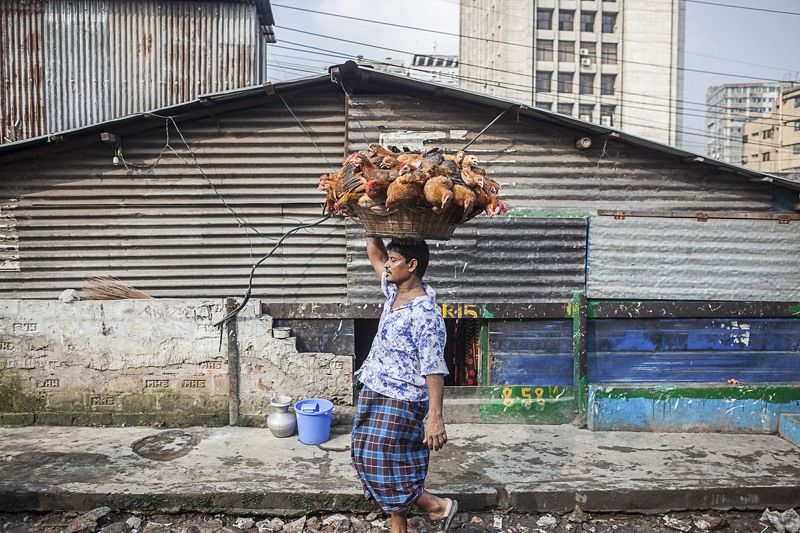 gobindapaul,Gobinda_paul,  Face Of the Bangladesh photo preview