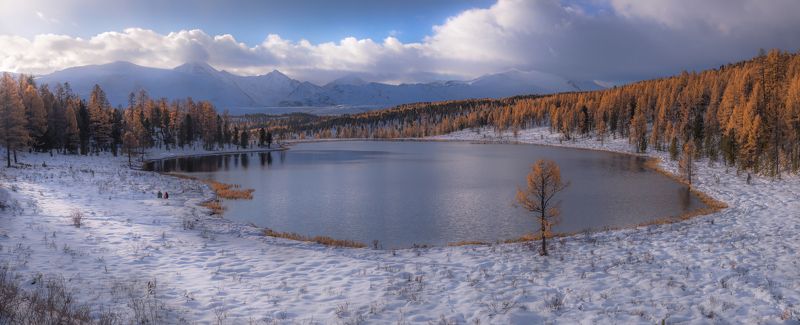 Киделю фото превью