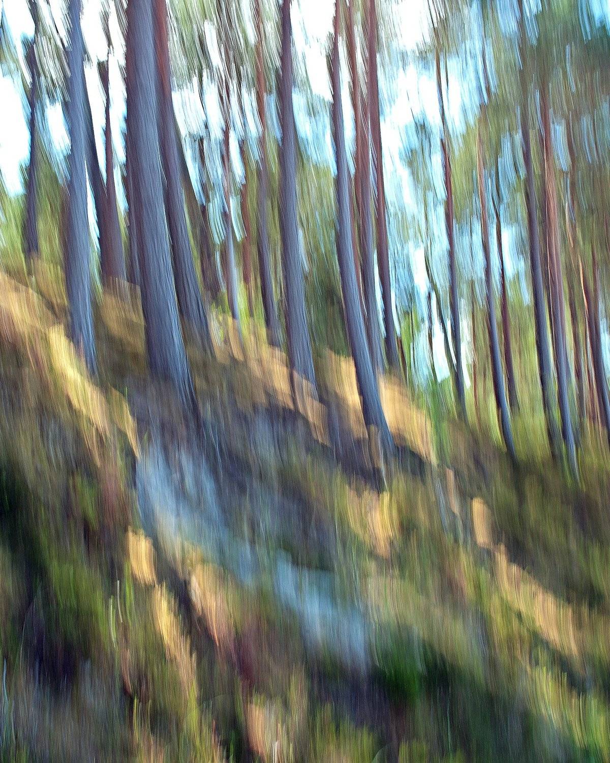 естественное фото, хорошая фотография; nature photo, good photo, studio photo, Juris Zēbergs