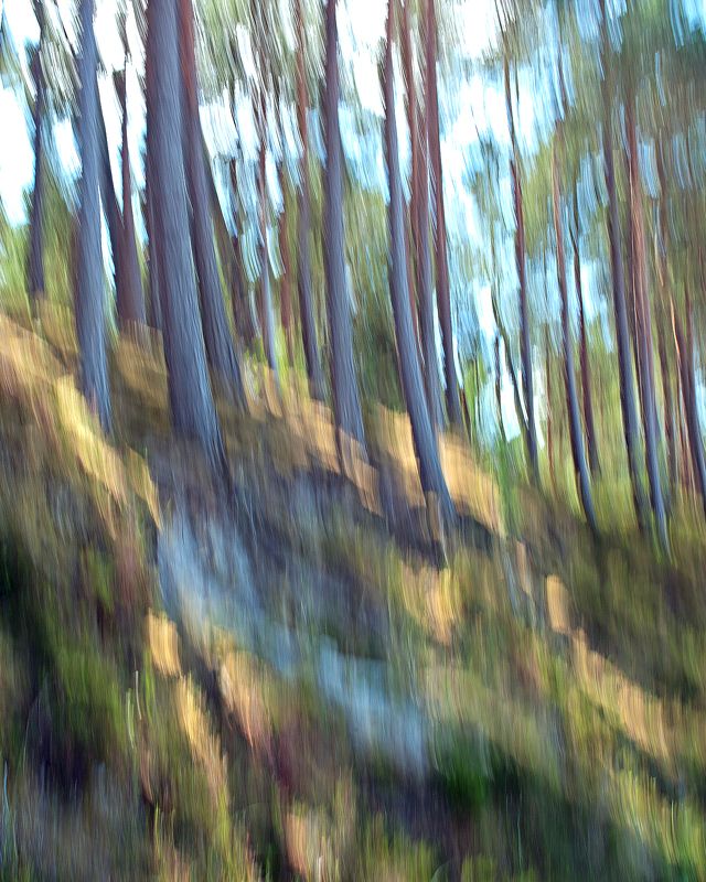 естественное фото, хорошая фотография; nature photo, good photo, studio photo Nature preludesphoto preview