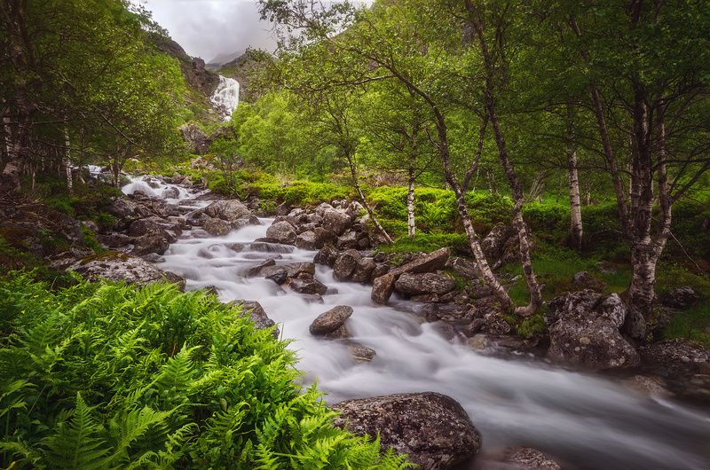 Hellaugelvaphoto preview