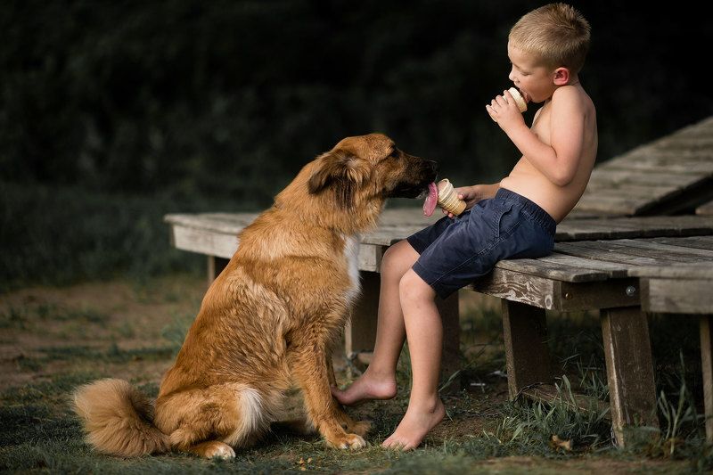 мороженое, собака, ребенок Собака тоже человек)photo preview