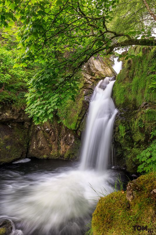 waterfall water longexposure long exposure slowmotion uk england unitedkingdom snowdonia green b&w monochrome stone stones rock rocks nature plants motion silkywater silky smooth Waterfallsphoto preview