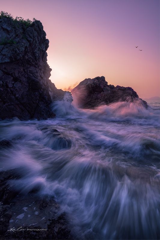 Next Wavesphoto preview