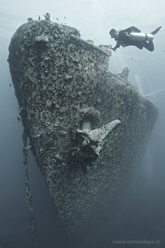 SS Thistlegorm #2. Нос корабля.