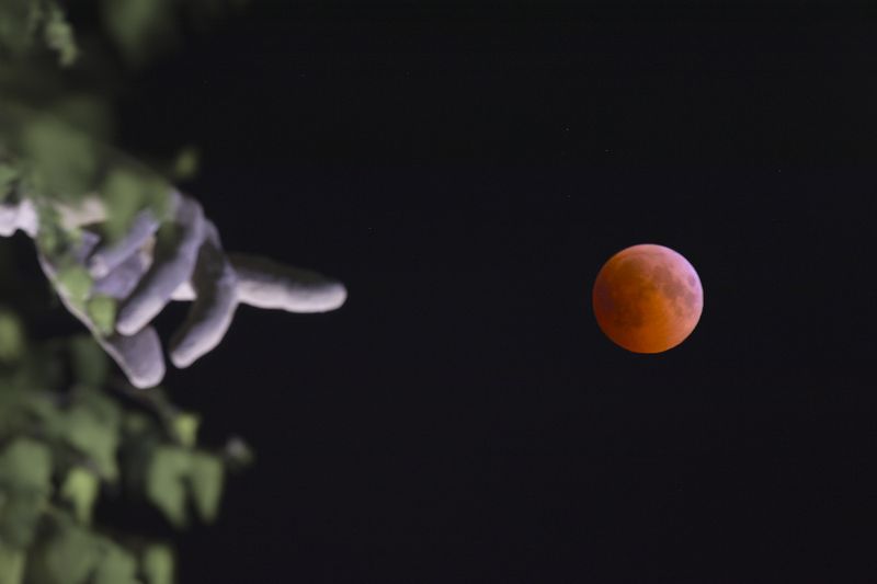 лунное затмение, lunar eclipse moon eclipse, затмение Лунное затмение на Мамаевом Курганеphoto preview