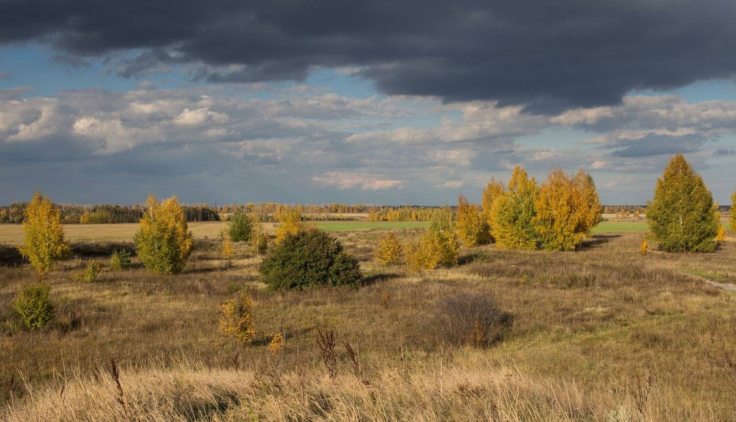 Автор: Руслан Востриков , Руслан Востриков