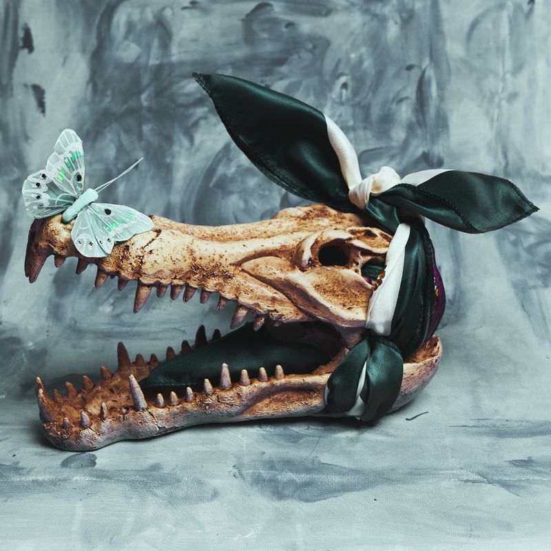 Alligator moodphoto preview