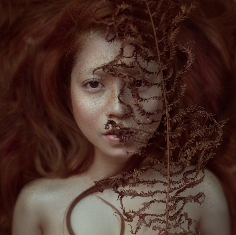 carolinemadison, portrait, beauty, redhair, redhead, portraiture, curlyhair,  lips, emotion, longhair, freckles Novemberphoto preview