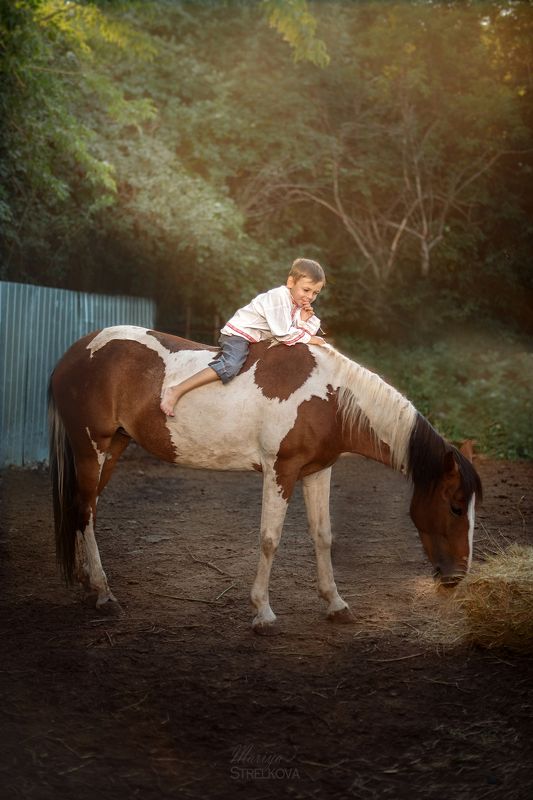 Бабочкаphoto preview