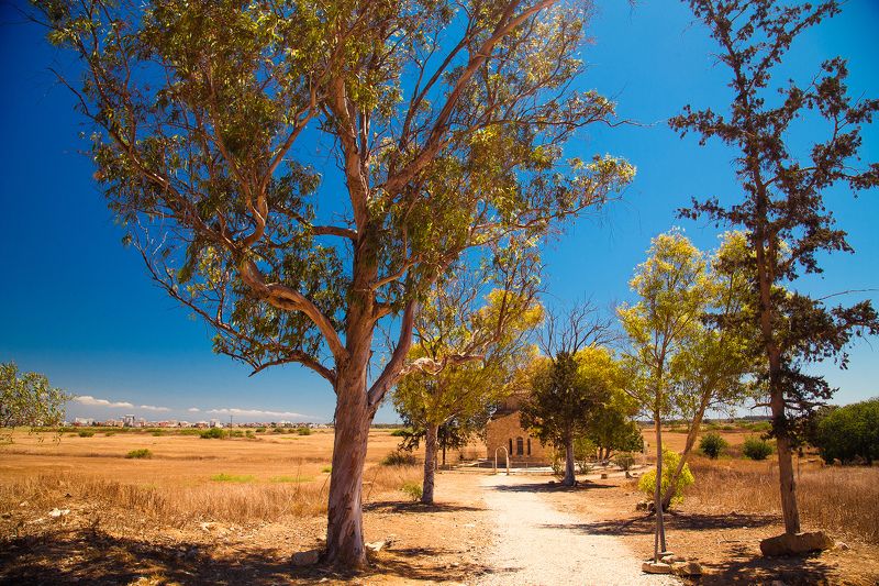 Дорога к святынеphoto preview