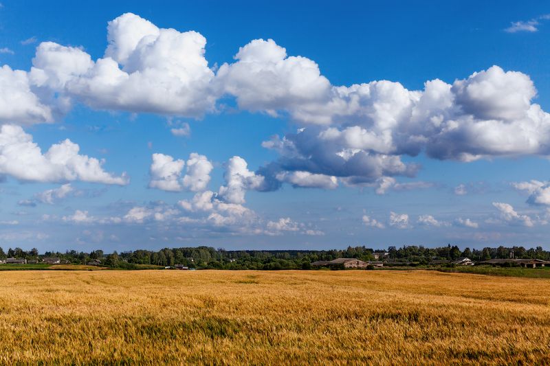 Земля Смоленскаяphoto preview