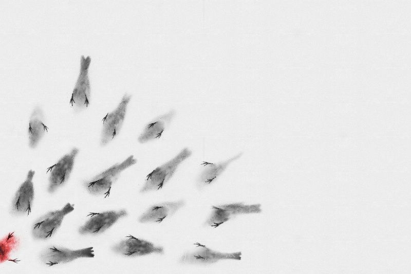 Cut Downphoto preview