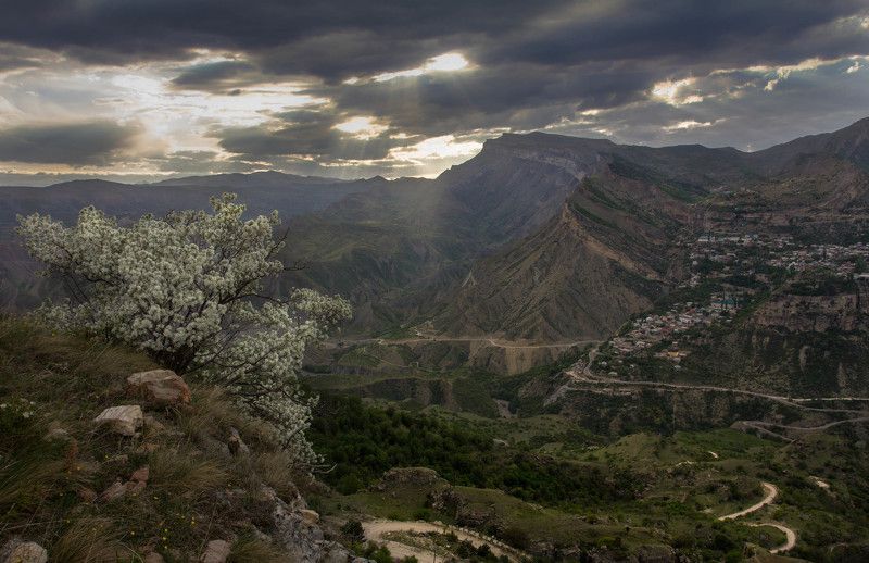 Май в Дагестанеphoto preview