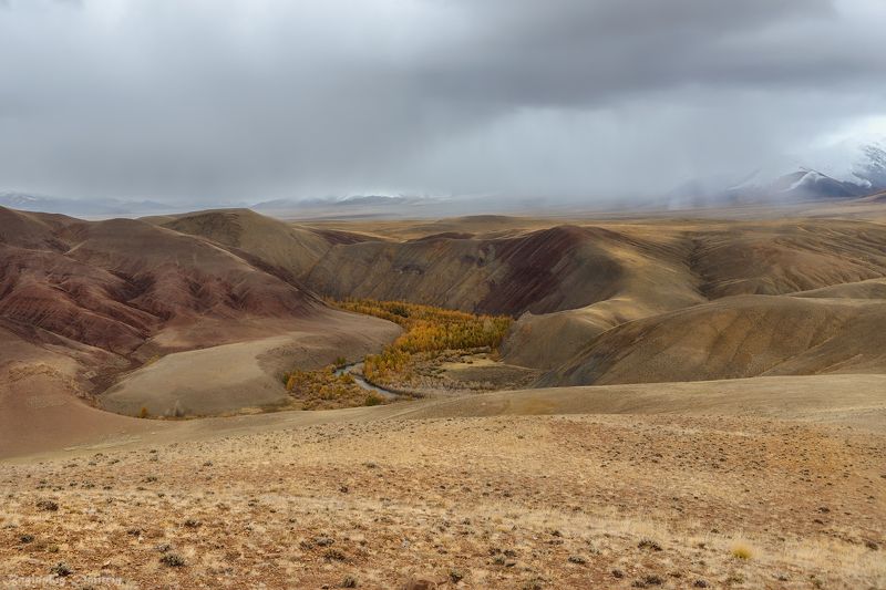 алтай, осень, горы Просторы Алтаяphoto preview
