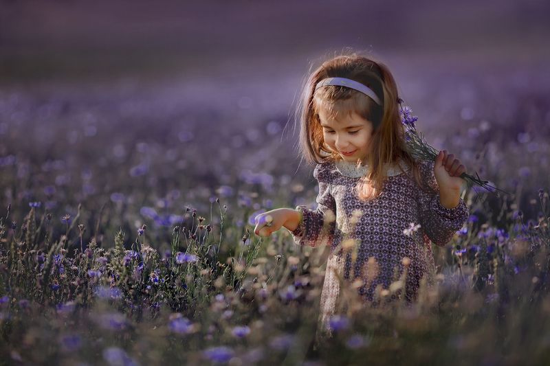 Василькиphoto preview