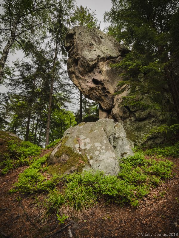 Лесной страж. Карпаты. Покуття.photo preview