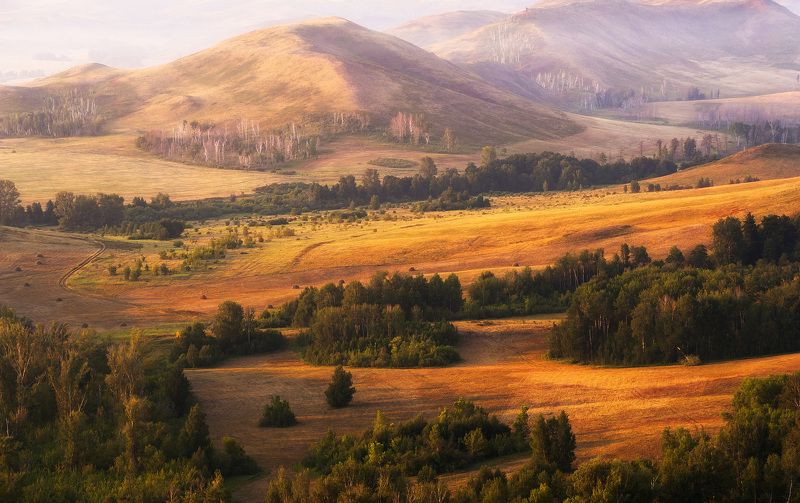 утро, горы, холмы, луга, деревья, высота, свет, смог, простор Картина воскресного утраphoto preview