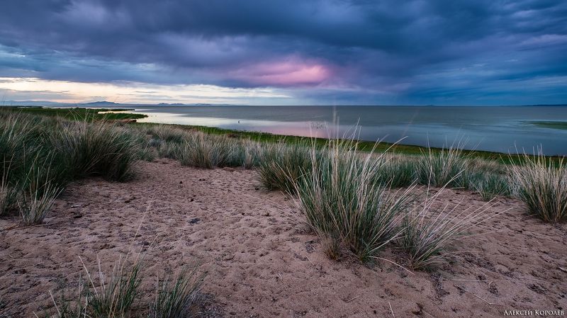монголия, закат, озеро, песок, ирисы, природа, пейзаж, лето, mongolia, sunset, lake, sand, irises, nature, landscape, summer Озеро Хар-Ус-Нуурphoto preview