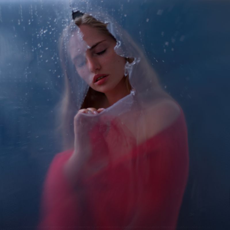 r e n a i s s a n c ephoto preview