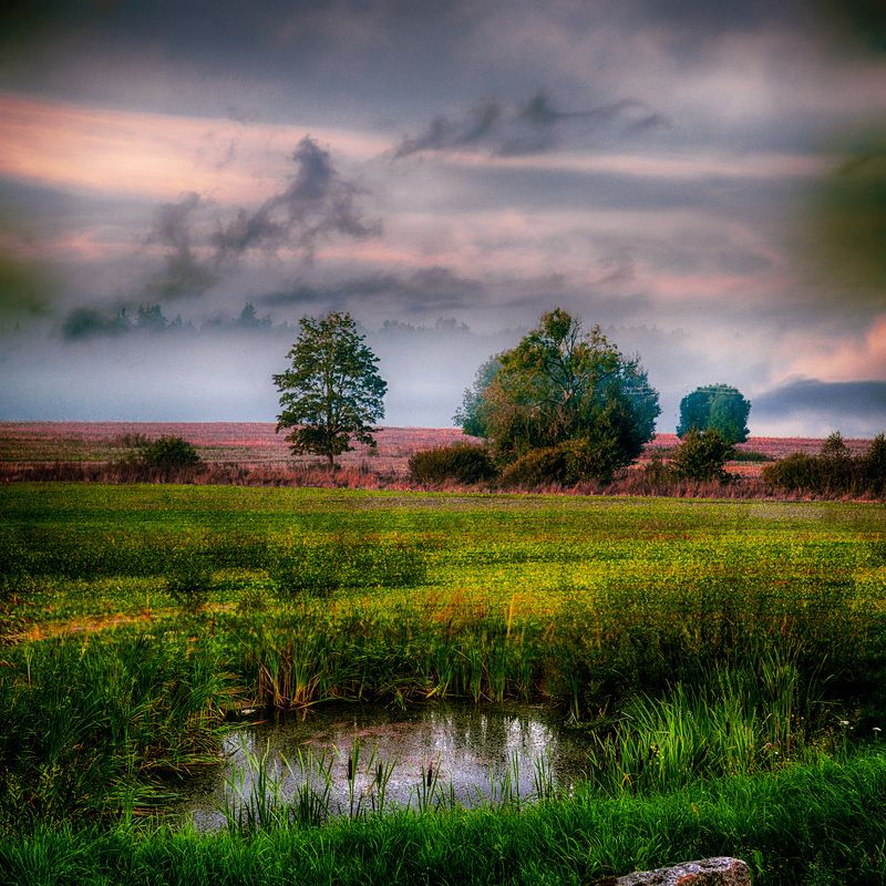 утро, туман, природа утроphoto preview