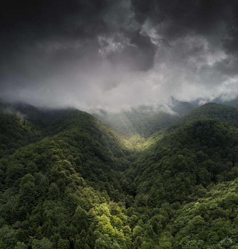 #rays #rainy #mountains #shadows #storm #trees #green Лучи через дождя..photo preview