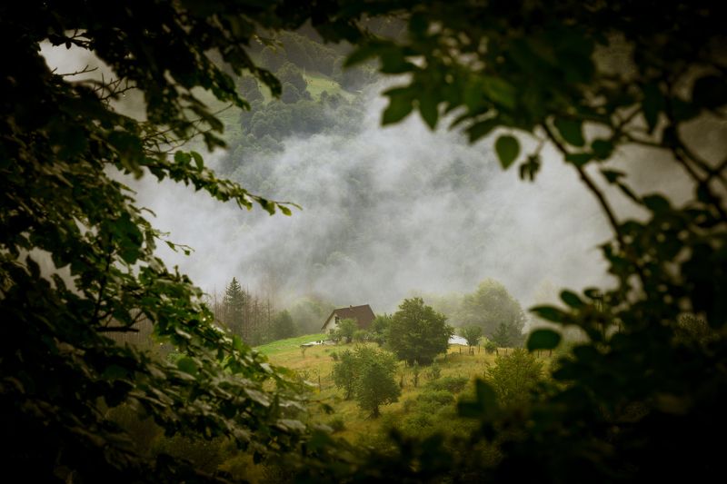 sony a6000 ...photo preview