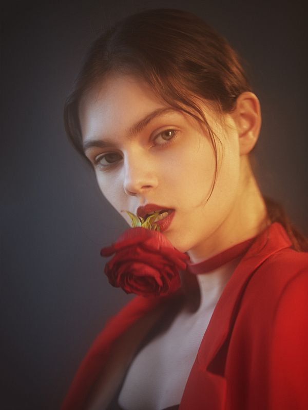 девушка, портрет, роза, цветок, свет Лиза photo preview