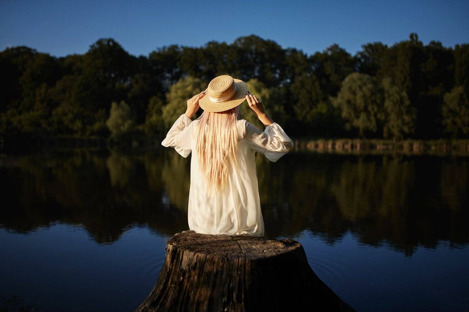 Автор: Alexey Gulak , Alexey Gulak