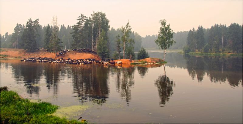 Куда уходит детство..photo preview