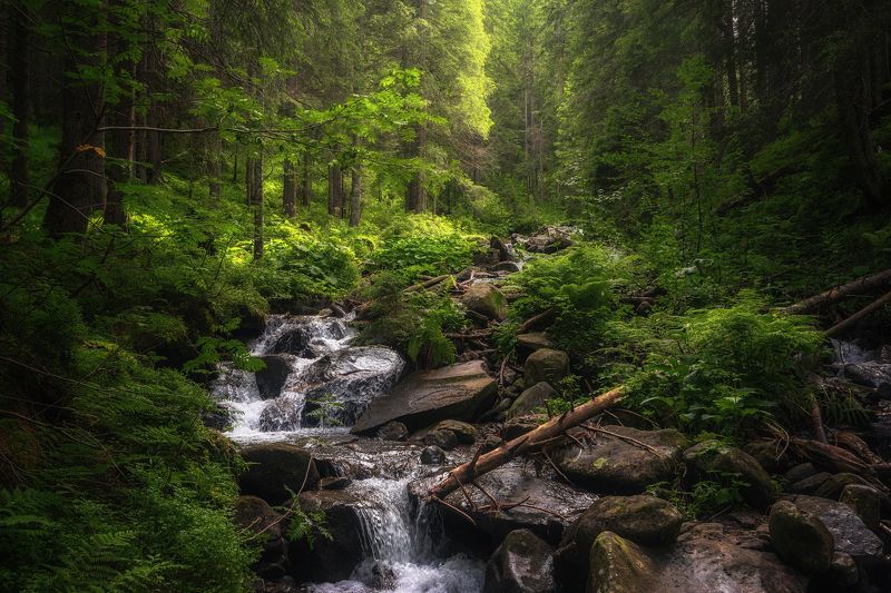 Карпатыphoto preview