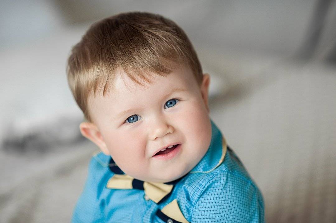 Автор: Павлова Александра , Павлова Александра