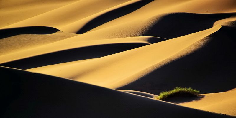 Morningphoto preview