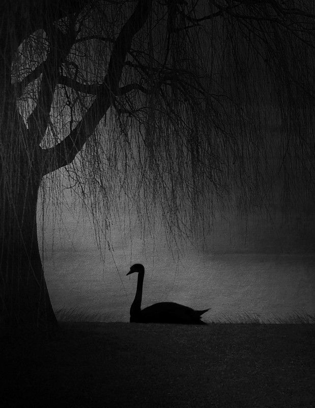 #35photo #surrealart#photoshop#ps_fantasy#art_minimal #bnw_dream #photography#minimalism#conceptual#fineart #instagram#ps_dreams#bnwminimalismmag#art_digital #ir_photographer#ir_aks#minimal#canon#blackandwhite#bnw#surreal#hadimalijani#art#fantastic_earth# Alonephoto preview