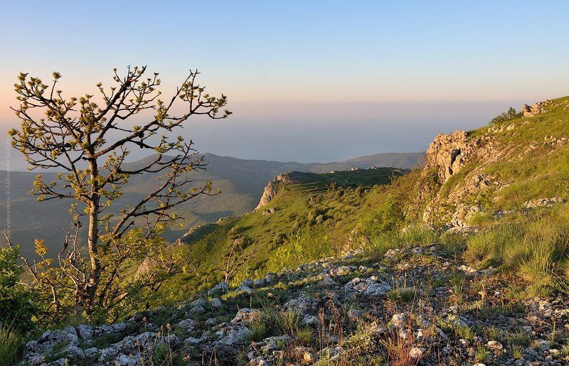 утро, крым, горы photo preview