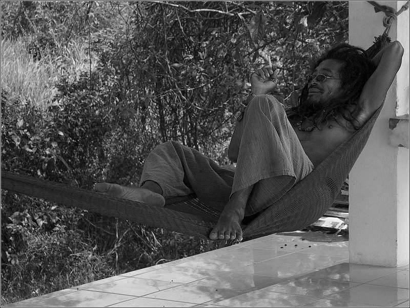 Хрен вам, пуля и петля...photo preview