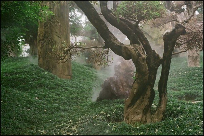 hong kong, china, китай photo preview