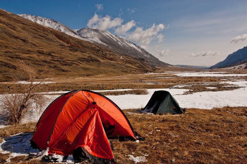 , таралгак, алтай photo preview