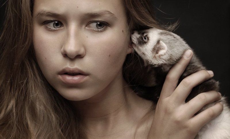 фото превью